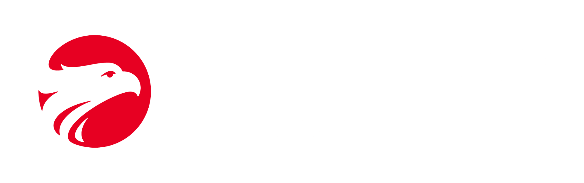 WIZARD_Logo_Vermelho_Branco_RGB